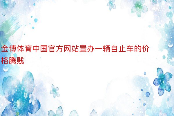 金博体育中国官方网站置办一辆自止车的价格腾贱