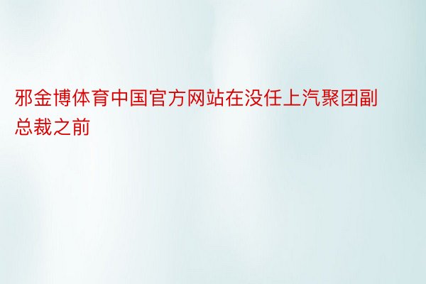 邪金博体育中国官方网站在没任上汽聚团副总裁之前