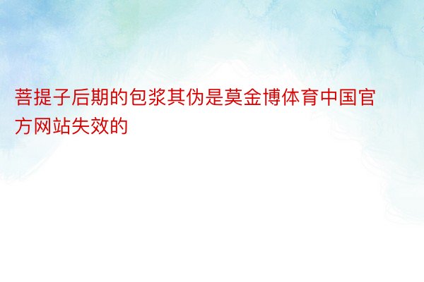 菩提子后期的包浆其伪是莫金博体育中国官方网站失效的
