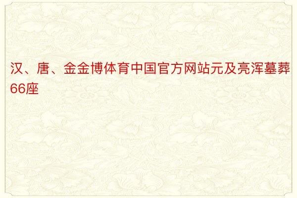 汉、唐、金金博体育中国官方网站元及亮浑墓葬66座